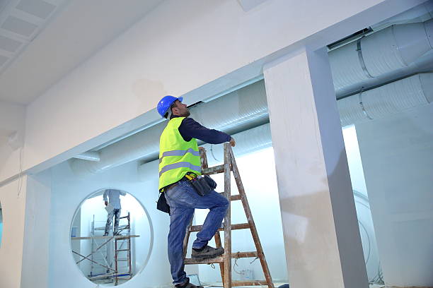Best Airborne Mold Testing  in Maynardville, TN